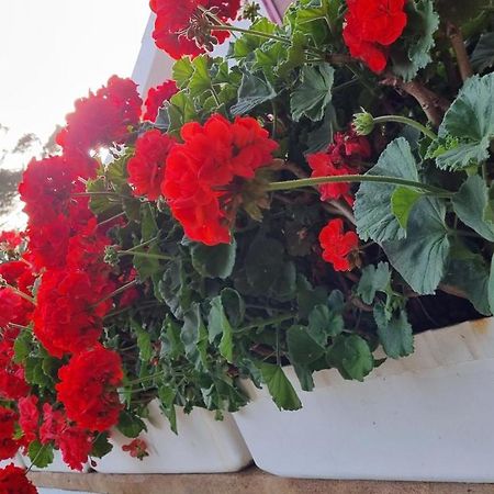 Finca Sa Cova De Mallorca 센세예스 외부 사진