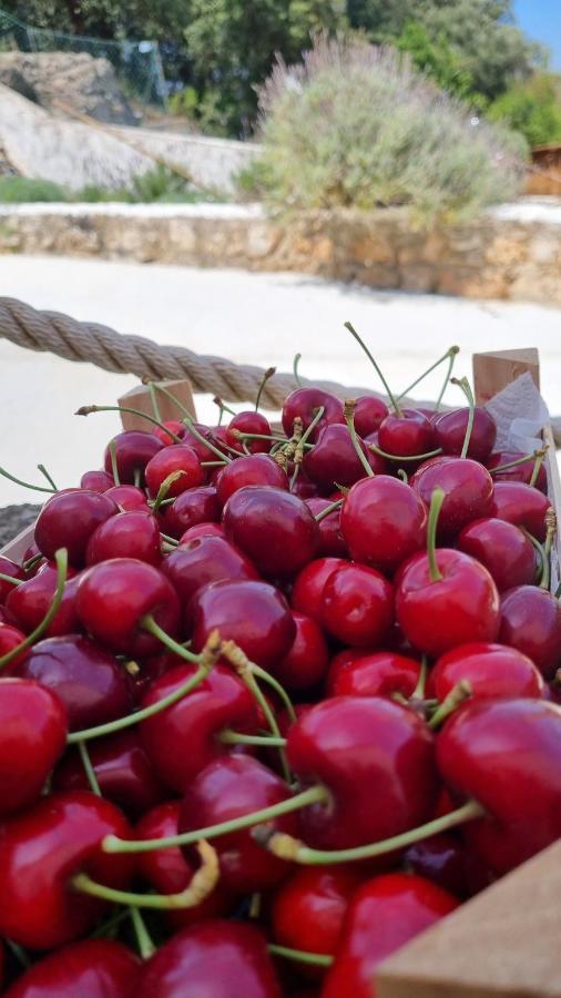Finca Sa Cova De Mallorca 센세예스 외부 사진