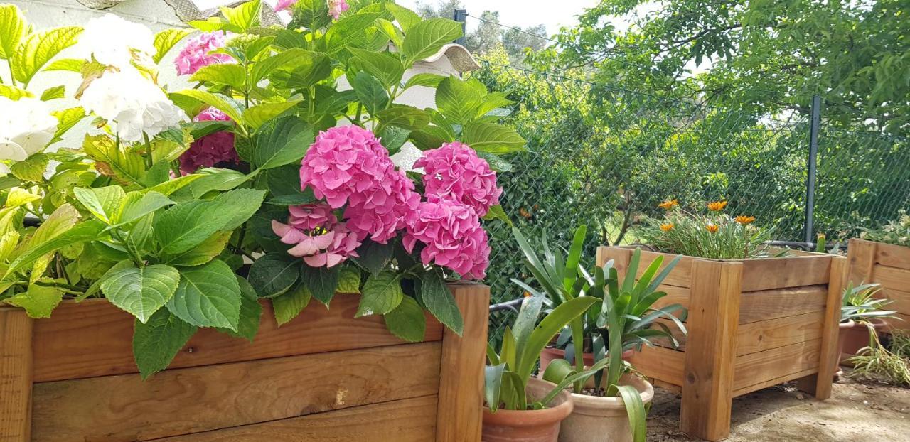 Finca Sa Cova De Mallorca 센세예스 외부 사진