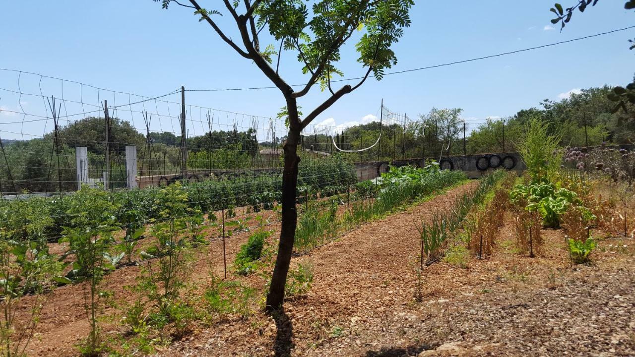 Finca Sa Cova De Mallorca 센세예스 외부 사진