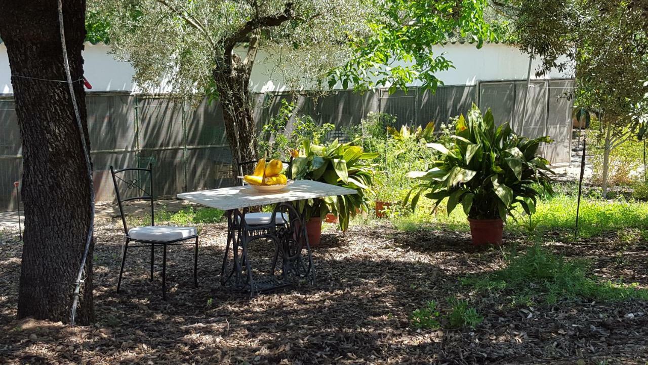 Finca Sa Cova De Mallorca 센세예스 외부 사진
