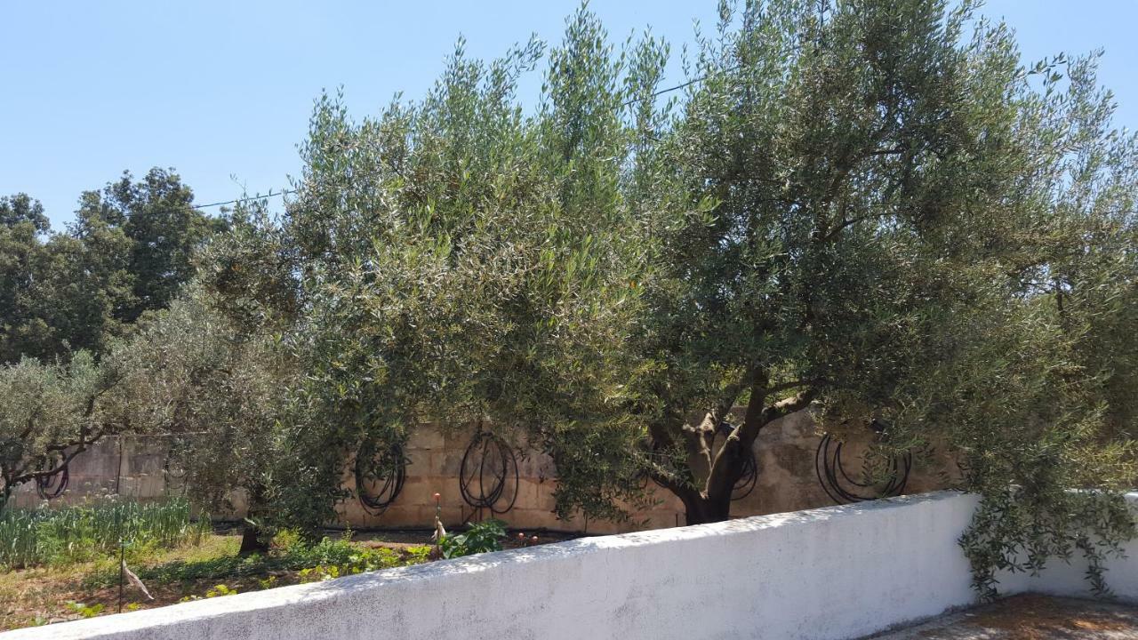 Finca Sa Cova De Mallorca 센세예스 외부 사진