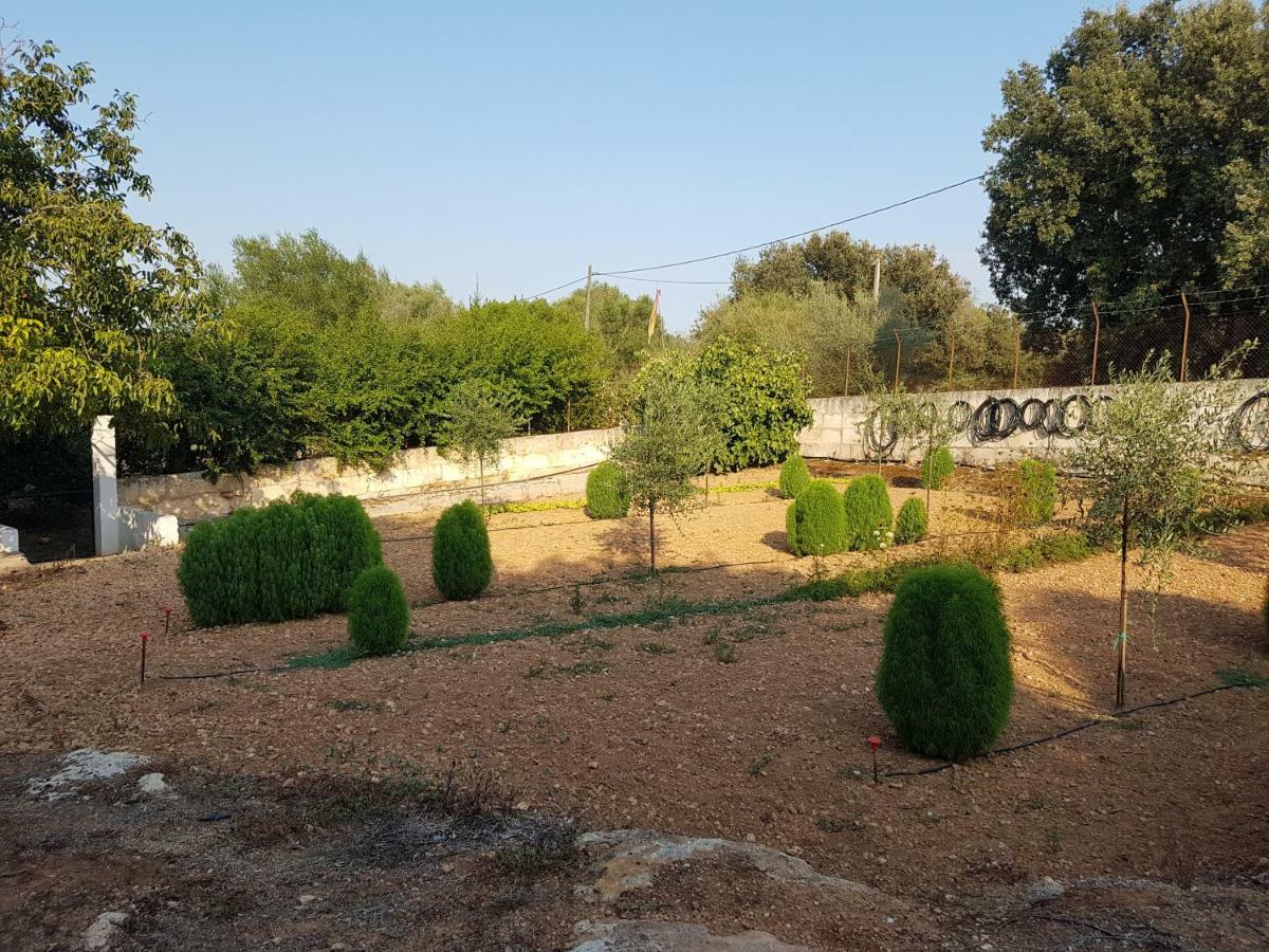 Finca Sa Cova De Mallorca 센세예스 외부 사진