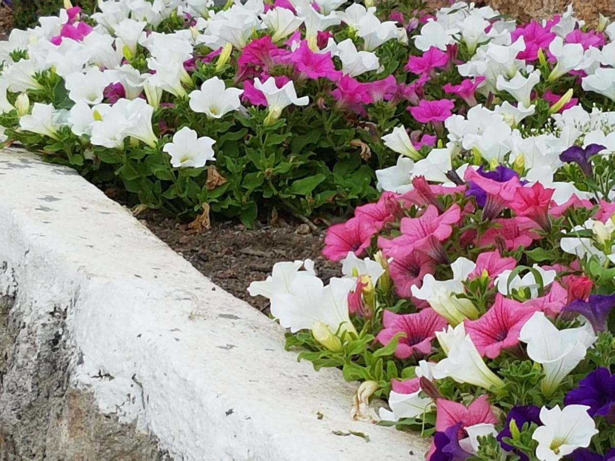 Finca Sa Cova De Mallorca 센세예스 외부 사진