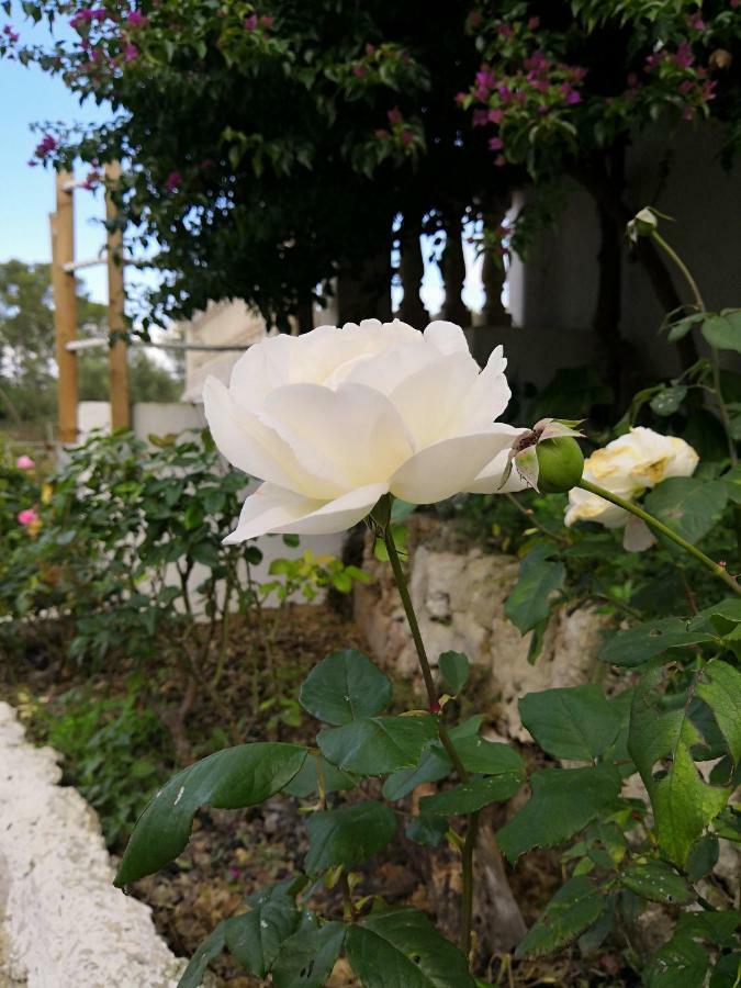 Finca Sa Cova De Mallorca 센세예스 외부 사진