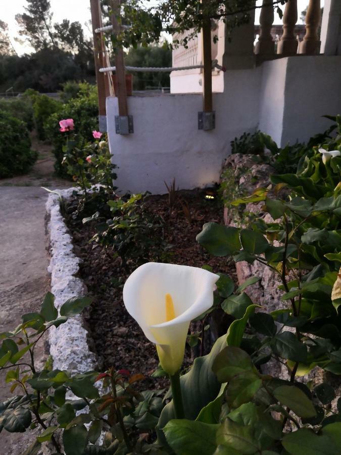 Finca Sa Cova De Mallorca 센세예스 외부 사진